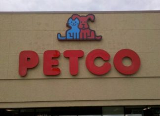 Pecto Store
